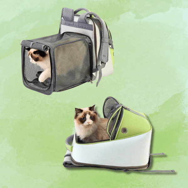 PetMaster Rubeku Pet Carrier Expandable Backpack Green Pet Master